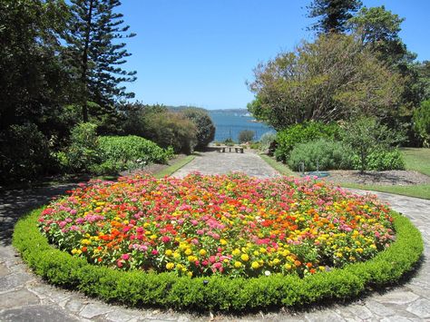 Mailbox Garden Ideas, Circle Driveway Landscaping, Circular Garden Design, Mailbox Planter, Planting A Garden, Circle Driveway, Mailbox Garden, Colorful Flower Beds, Add Curb Appeal