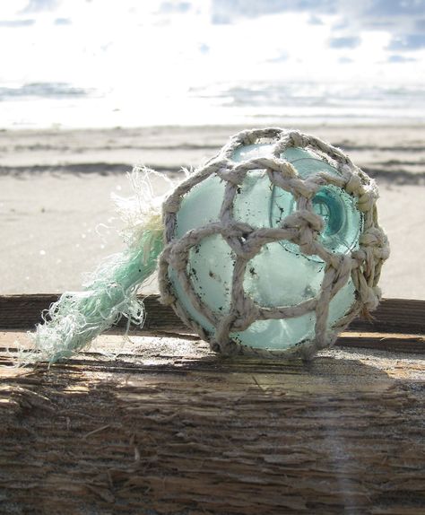 Beach Projects, Nautical Ideas, Happy Vacation, Glass Fishing Floats, Glass Floats, Ocean Treasures, Fishing Floats, Lucky Ladies, Oceans Of The World