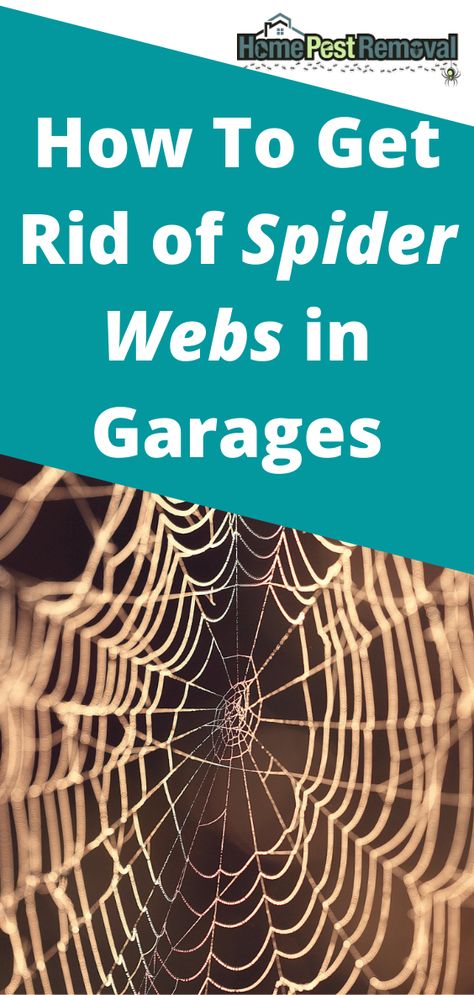 The garage is one of the most common places for spiders to congregate. It is warm, sheltered, and typically easier to get into than other areas of the home. These spiders bring with them a pesky problem: their webs that can so easily take over your garage. How can you get rid of spider webs in the garage? How To Get Rid Of Spider Webs Outside, How To Keep Spiders Out Of Garage, Get Rid Of Spiders In Home, Spider Net, Get Rid Of Spiders, Bad Bugs, White Porch, Bug Killer, Garage Remodel