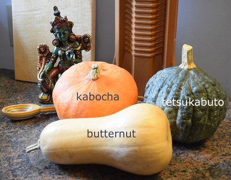 butternut, kabocha, and tetsukabuto winter squash Tetsukabuto Squash Recipes, Kobacha Squash, Juliasalbum.com Recipes Butternut Squash, Butternut Squash Pine Nut, Soy Ginger Sauce, Butternut Squash Sage, Wild Onions, Kabocha Squash, Baked Squash