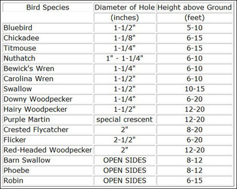 birdhouse sizes Cardinal Bird House, Bird House Plans Free, Cedar Fence Pickets, Homemade Bird Houses, Free Pallets, Bird Houses Ideas Diy, Bluebird House, Wood Birdhouses, Bird House Plans