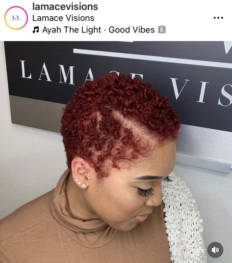 Short Natural Curls, Big Chop Natural Hair, Short Textured Hair, Short Dyed Hair, Finger Coils, Black Women Short Hairstyles, Short Natural Hair, Hair Black Women, Short Red Hair