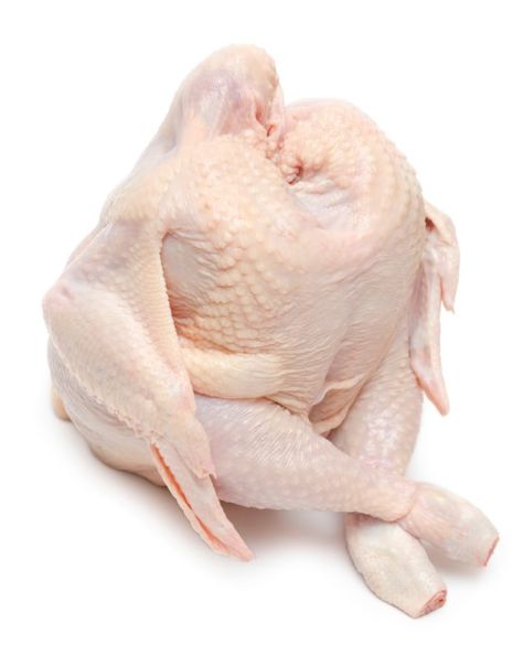 Studies have shown that 44% of the population washes raw chicken prior to cooking. The percentage goes up to 71% when the chicken is frozen. Both situations raise the risk of spreading Campylobacte… Electric Turkey Fryer, Chickens For Sale, Turkey Fryer, Chicken Images, Chicken Logo, Chicken Shop, Scary Animals, Church Poster Design, Love Background Images