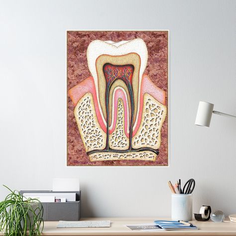 Dentist Art Painting, Dental Painting, Tooth Anatomy, Teeth Anatomy, Dentist Art, Anatomy Poster, Clinic Interior, Teeth Art, Van Gogh Style