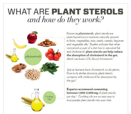 Plant sterols #food Plant Sterols Food, Plant Sterols Lower Cholesterol, Cooking Reference, Infographic Food, What Causes High Cholesterol, Mother Health, Plant Sterols, Health Watch, Food Infographic