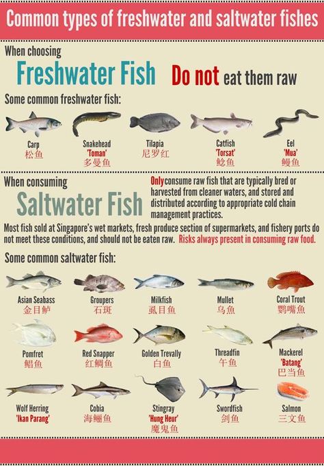 Common fresh water and salt water fishes in Singapore Fish Types To Eat, Fresh Water Community Fish, Types Of Water Transportation, Freshwater Prawn Farming, Fish To Eat, Water Quality Parameters, Culinary Lessons, Salt Water Fish, Fish Fish