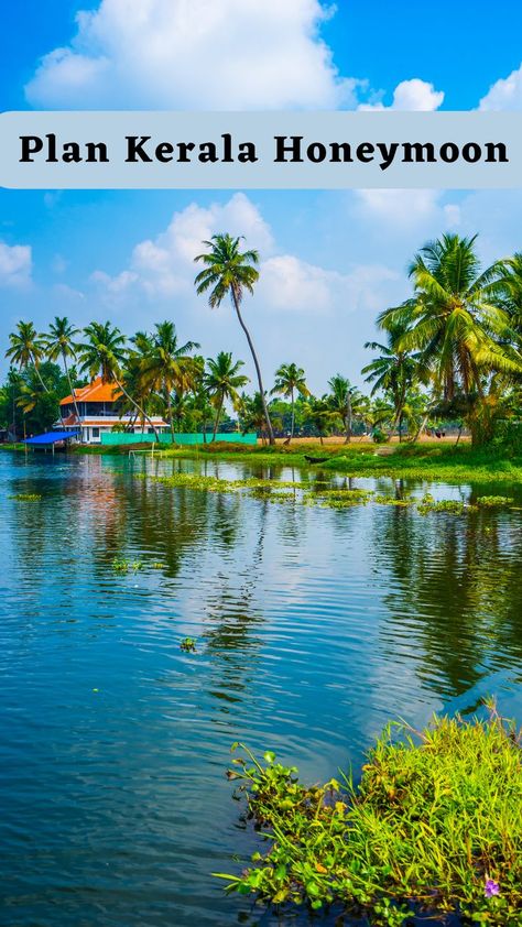 Kerala is the most popular honeymoon destination in India. Here is some more information on Kerala and the top 3 places you need to visit during your honeymoon to Kerala. India Honeymoon, Honeymoon Goals, Italian Honeymoon, European Honeymoon, Popular Honeymoon Destinations, Affordable Honeymoon, Italian Beaches, Honeymoon Locations, Honeymoon Places