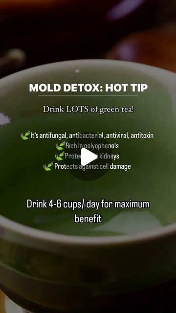 Danielle Wollmann | Holistic Nutritionist| Detox Coach on Instagram: "Green Tea is a powerhouse when it comes to your mold detox protocol. I definitely recommend to my clients to consume lots of green tea on their detox journey. In addition to be being anti-fungal, anti-bacterial, anti-viral and anti-toxin, it is a great source of polyphenols! Why are polyphenols so important when doing a mold detox? 🌿Polyphenols are extremely protective! 🦠Mold on the other hand is very damaging. Polyphenols help to counter act the damage that mold and mycotoxins are causing in our bodies. It’s helps protect the cells and our kidneys. People report feeling more energetic and better cognitive function when adding in green tea to their daily routine. Not only is it extremely helpful…. It’s extr Mold Detox Protocol, Mold Symptoms, Holistic Nutritionist, Detox Tea, Our Body, Daily Routine, Health Benefits, Natural Remedies, Green Tea