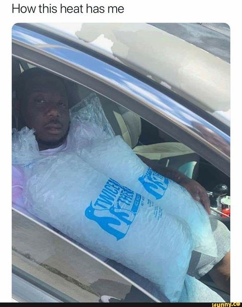 How this heat has me – popular memes on the site iFunny.co #weather #animalsnature #how #heat #has #pic Heat Meme, Summer Jokes, Hot Weather Humor, Rickey Smiley, Weather Memes, Funny Weather, British Memes, Summer Funny, Scammer Pictures