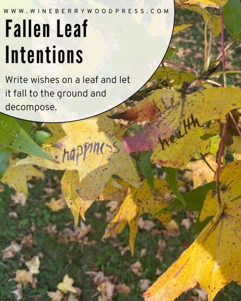 Write wishes or intentions ona leaf while its still on the tree and then let it fall, decompose and make its way into the universe. Easy Samhain celebration idea. Celebrating samhain on nature with children. Easy nature halloween activities for kids. Samhain For Kids, Samhain Activities For Kids, Samhain Crafts For Kids, Samhain Activities, Celebrate Samhain, Simple Ways To Celebrate Samhain, When Is Samhain, Samhain Halloween, Practicing Self Love