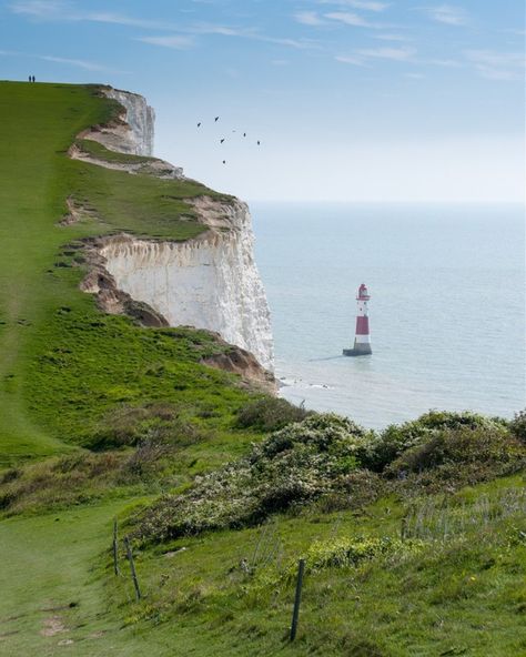 Beachy Head, Little Britain, Sussex England, England And Scotland, East Sussex, English Countryside, British Isles, Nature Travel, Travel Dreams