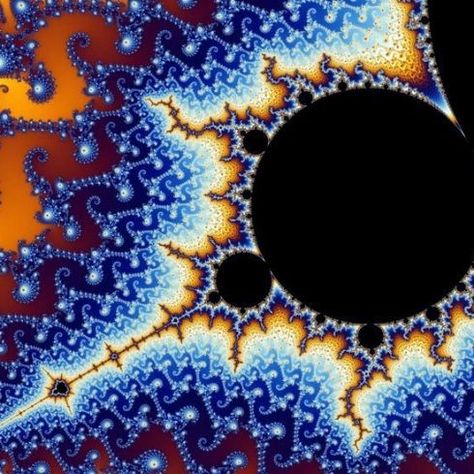 The Mandelbrot set:) Mandelbrot Fractal, Mandelbrot Set, Fractal Images, Sacred Geometry, Geometry, Tattoo Ideas, Art Inspiration, Wallpapers, Tattoos