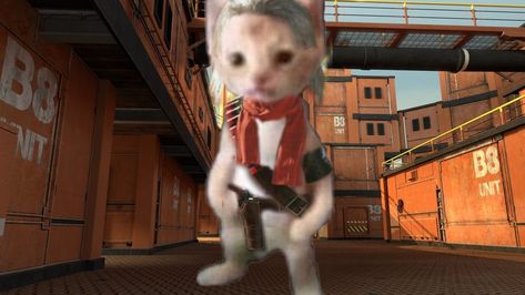 Metal gear kitties Revolver Ocelot, Metal Gear Solid, Metal Gear, Kitty, Outfit Inspo, Animals, Quick Saves