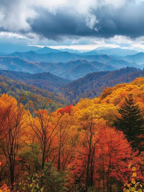 Mountains Tennessee, Smoky Mountains Tennessee, Pretty Landscapes, Autumn Scenes, Fall Time, Autumn Scenery, Fall Pictures, Great Smoky Mountains, Fall Photos