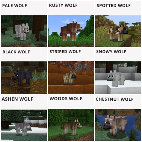 New Minecraft Wolves, Minecraft Dog Breeds, Minecraft Fox Habitat, Minecraft Horse Breeding Chart, Minecraft Wolf Variants, Minecraft Pet Builds, Minecraft Wolf Enclosure, Minecraft To Do List, Minecraft Dog Bed