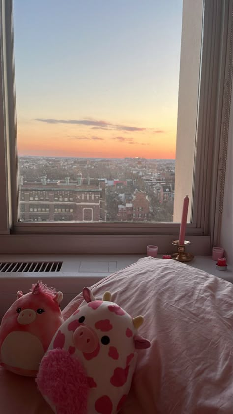 pink squishmallows Valentines Day Squishmallows, 16th Wishlist, Valentines Day Stuffed Animals, Aesthetic Squishmallows, Squishmallows Aesthetic, Nicole Aesthetic, Clean Girl Room, Cute Bedrooms, Squish Mellow