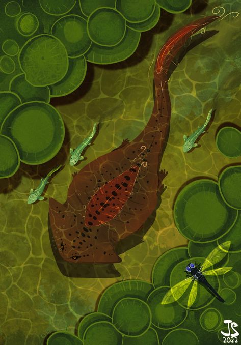 Anomallite on Twitter: "Diplocalus swimming through the lilies #paleoart… " Prehistoric Animals Dinosaurs, Prehistoric Wildlife, Dinosaur Illustration, Prehistoric World, Prehistoric Art, Paleo Art, Extinct Animals, Dinosaur Art, Prehistoric Creatures