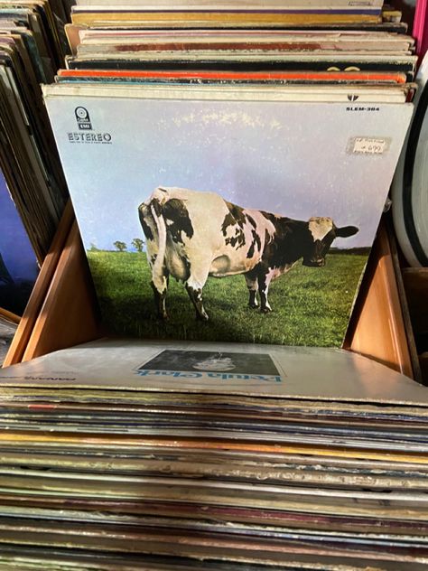 Cow Vinyl pink floyd. Pic by Mara Pink Floyd Aesthetic, Pink Floyd Vinyl, 60s Summer, Cd Aesthetic, Cow Drawing, Vinyl Music, Pink Floyd, Dark Side, Bedroom Ideas