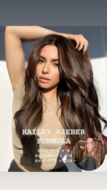 Fall Hair Extension Colors, Toner For Brunette Balayage, Luxury Brunette Hair, Hailey Bieber Dark Brown Hair, Hailey Bieber Hair Color Brown, Cool Brown Balayage Brunettes, Hailey Bieber Brown Hair Formula, Rich And Warm Brunette, Hair Colour Formulas