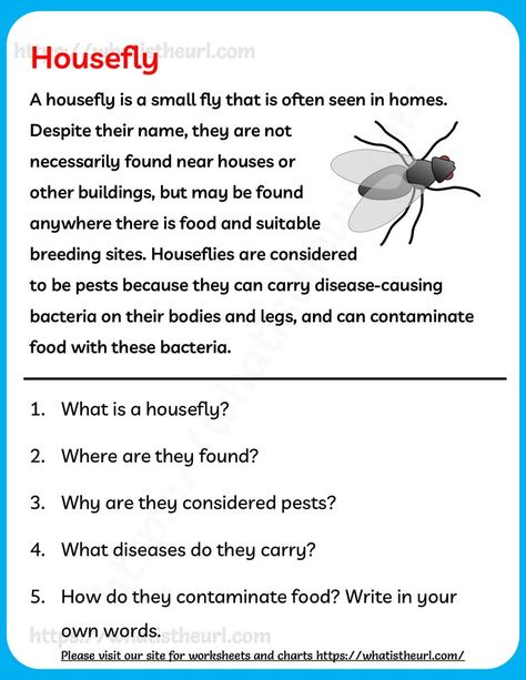 It is a one page reading comprehension on houseflies. This can be usef for Grade 2 or Grade 3. Passage Writing For Grade 3, Cloze Passages For 2nd Grade, Reading Comprehension Passages Grade 3, Dictation For Grade 3, Dictation Paragraph For Grade 2, Grade 2 Language Activities, Reading Stories For Grade 2 Student, Comprehension Passage For Grade 3, Grade 3 Reading Comprehension Passages