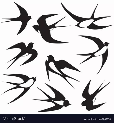 Bird swallow set poses vector image Silhouette Arte, Bird Silhouette Tattoos, Vogel Silhouette, Vogel Tattoo, Swallow Tattoo, Silhouette Tattoos, Swallow Bird, Bird Silhouette, Birds Tattoo