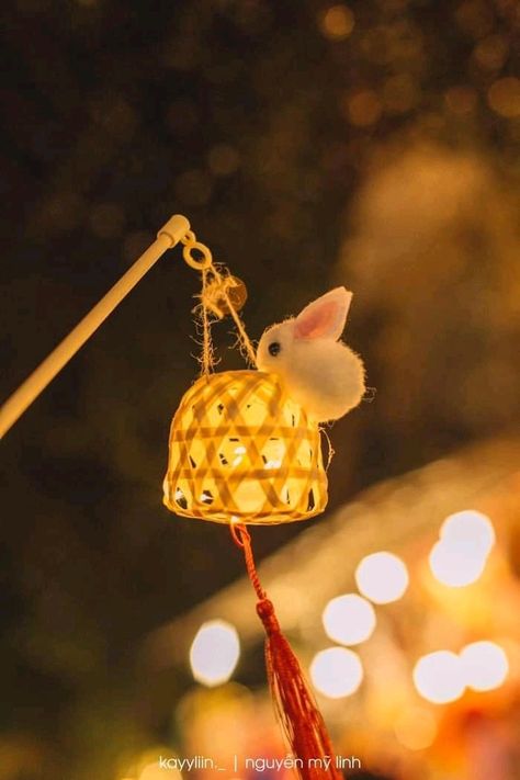 Mid Autumn Festival Aesthetic, Aesthetic Lantern, Festival Aesthetic, Fantasy Props, Autumn Festival, Mid Autumn, Mid Autumn Festival, Fall Festival, Lanterns