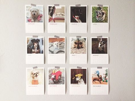 Oh So Beautiful Paper: Bloggers Love Cats + Dogs Fundraising Calendar, Calendar Design Template, 달력 디자인, Dog Calendar, Cat Calendar, Dog Milk, Crazy Dog Lady, Modern Pet, Curious Cat