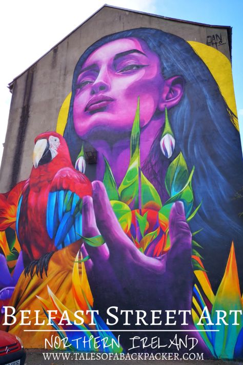 Mural Outdoor, Belfast Ireland, Cultural Travel, Europe Countries, Street Mural, Best Street Art, Amazing Street Art, 3d Street Art, Graffiti Murals