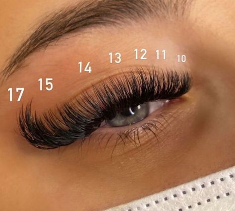 Lash Map Cat Eye Volume, Cat Eye Volume Lash Extensions Mapping, Volume Cat Eye Lash Extensions Mapping, Classic Lash Extensions Mapping, Lash Maps, Lash Map, Lash Mapping, Lashes Fake Eyelashes, Eyelash Tips