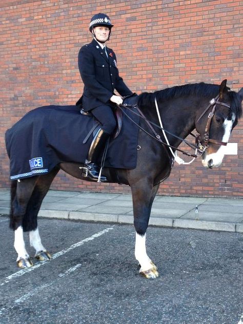 Police horse bud and PC Hirst ready for the parade in Leeds Police Horse, Uk Police, Mounted Police, Equestrian Helmets, Horse Pics, Equestrian Helmet, Types Of Horses, English Riding, Equestrian Sports