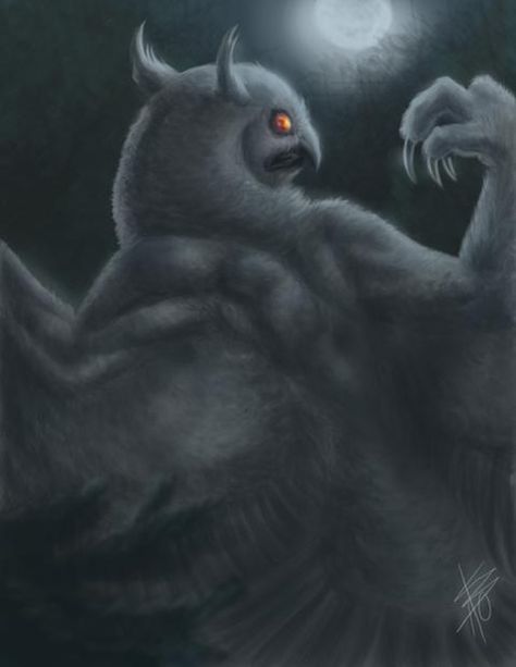 Owl man- European cryptid: a huge man-like owl said to have two feathery horns, huge red glowing eyes, silvery wings, and big black talons. It was described being 5-6ft tall with two toes pointed forward. All the sighting happened near a church and most involved a prankster named sheil. Owlman Cryptid, Atlas Bear, Paranormal Creatures, Owl Man, Dover Demon, American Lion, The Mothman, Feathered Serpent, Sharp Claws