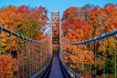 SkyBridge Michigan - Boyne Mountain - Petoskey Area Boyne Mountain Skybridge, Sky Bridge Michigan, Skybridge Michigan, Boyne Mountain, Fall Michigan, Michigan Girl, Sky Bridge, Harbor Springs, Apple Barrel