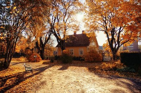 Autumn House, Best Seasons, Autumn Beauty, Fall Pictures, Autumn Cozy, Autumn Aesthetic, Frank Sinatra, Pics Art, Autumn Inspiration