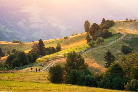 English Landscape Photography, Landscape Reference Photos For Painting, Rural Landscape Photography, Hobbit Landscape, Farmland Photography, Painting Reference Photos Landscape, Scenery Reference Photos, Landscape Reference Photos For Artists, Reference Photos Landscape