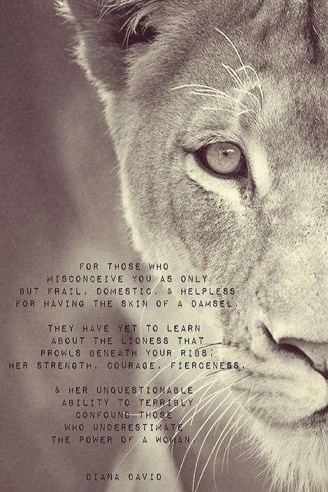 Lioness Mom Quotes, Lioness Quotes Woman, Lioness Woman, Lioness Quotes Woman Strength, I Am A Lioness Quotes, Never Underestimate The Power Of A Woman, Lioness Quotes Woman Strength Life, If You Were Any Braver You Would Be A Lioness, Motherhood Tattoo