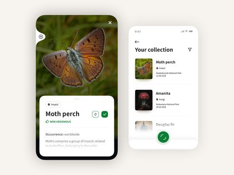 AI species recognition woods species simple moth mobile clean bushcraft app ai Natural Cycles App, Gardening App Design, Mobile App Prototype Design, Insect Infographic, Insect Identification, Merlin Bird, Parking App, Plant App, Bird App