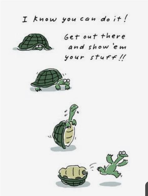 Exam Good Luck Quotes, Turtle Quotes, Funny Encouragement, Gift Coupon, Exam Quotes, Neuer Job, Turtle Love, Tuesday Motivation, Luck Quotes