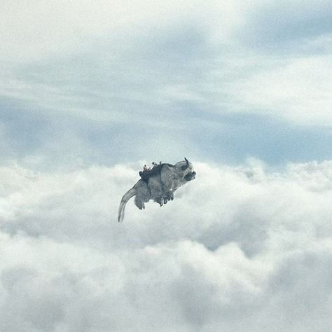 the last airbender icon. netflix. appa. team avatar. sky bison. Sky Bison Avatar, Appa Flying, Sky Bison, Avatar Dr, Team Avatar, Avatar Aang, Aang, Avatar The Last Airbender, The Last Airbender