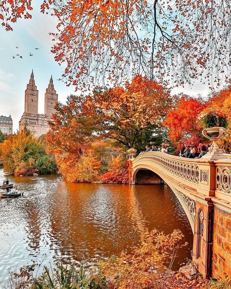 Fall Vibes of Central Park 😉🧺 📸: constantinamoi | IG " Are you FALLing for NYC? Today is September Equinox, first day of fall in the northern hemisphere when the day and night will be almost equal in most locations. This shot was taken by the lake in Central Park with the San Remo towers framed by autumn leaves on Nov 12 last year. " _by@NOEL Y. CALINGSAN . NYC | Twitter Fall In New York City, Central Park Fall, Nyc Autumn, Fall City, Nyc Fall, Central Park Nyc, Autumn In New York, Park In New York, Autumn Scenes