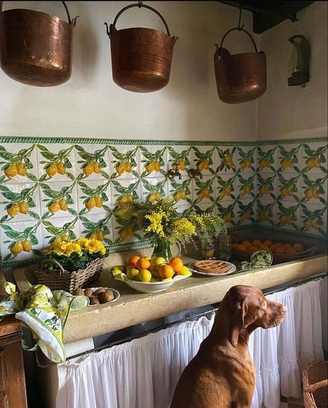 Italian House Aesthetic, Italian Villa Aesthetic, Italian Countryside Aesthetic, Italian Countryside House, Vintage Italian Kitchen, Italian Villa Interior, Gray Morning, Italian Cottage, Italian Country House