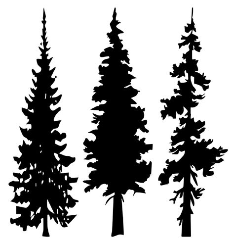 Google Image Result for http://imagehost.vendio.com/a/15928795/aview/3PineTrees.gif Pine Tree Silhouette, Deco Nature, Silhouette Painting, Wood Burning Crafts, Silhouette Christmas, Wood Burning Patterns, Wood Burning Art, Evergreen Trees, Tree Silhouette