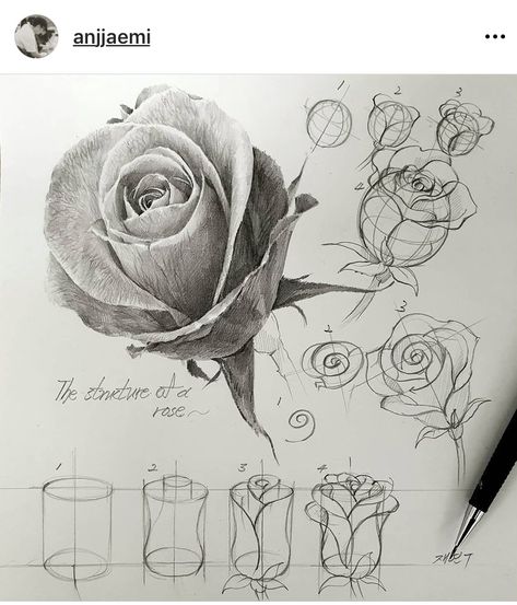 Flower Perspective Drawing, Flower Perspective, Realistic Flower Drawing, Structural Drawing, Perspective Drawing Lessons, Flower Drawing Tutorials, Nature Art Drawings, Perspective Art, Drawing Studies