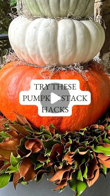 Steph Green | Container Garden Expert on Instagram: "✨Special Offer✨ FREE Mini Magnolia Bouquet with Purchase of a 28” Magnolia Wreath from @westonfarms. Use promo code “containedcreations” when you check out and they’ll pack a free bouquet with your order! #gift

🍁Then elevate your Fall porch decor with these hacks for creating a pumpkin stack planter:

1. Place a pot upside down on top of your potting mix. It should be wide enough to serve as a comfortable base for the pumpkins.

2. Use a fresh magnolia wreath from Weston Farms to hide the inverted pot and act as a nest for your stack. The inverted pot will prevent the bottom pumpkin from smooshing the wreath. I used a 28” wreath; my pot is 20” in diameter.

3. Use moss to fill gaps between your pumpkins. This is mostly for aesthetic pu Autumn Patio Decor, Holiday Planters, Fall Urn, Container Arrangements, Magnolia Bouquet, Pumpkin Stack, Faux Stems, Holiday Planter, Fall Porch Decor