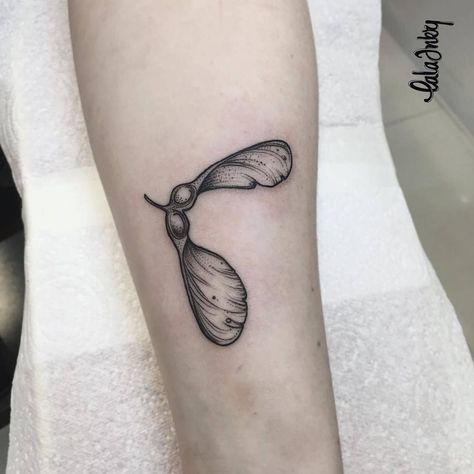 Sycamore seed Helicopter Tattoo, Seed Drawing, Seed Tattoo, Victory Tattoo, Sycamore Seed, Sycamore Leaf, Browning Tattoo, Leaf Tattoo, Cute Tats