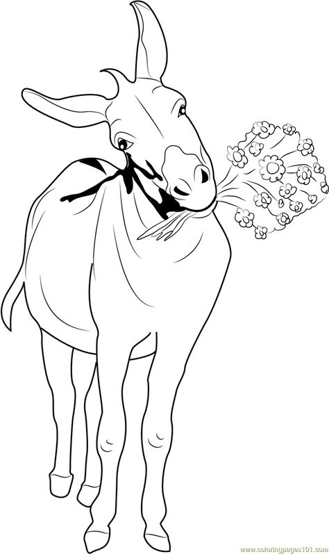 Drawing Donkey, Donkey Crafts, Donkey Face, Donkey Drawing, Coloring Pages Easy, Face Outline, Joseph Murphy, Flowers Drawing, Doodle Coloring