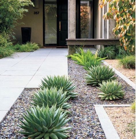 Top 70 Best Desert Landscaping Ideas - Drought Tolerant Plants Garden Design Pictures, Low Maintenance Garden Design, Succulent Landscape Design, نباتات منزلية, Front Yard Design, Dry Garden, Rock Garden Landscaping, Front Yard Landscaping Simple, Low Maintenance Garden