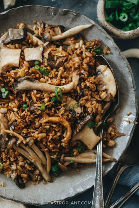 Oyster Mushroom Fried Rice, Brown Shimeji Mushroom Recipe, Oyster Mushroom Salad, Shimeji Mushroom Recipe, Shitake Mushroom Recipes, Mushroom Japanese, Mushroom Brown Rice, Oyster Dinner, Easy Brown Gravy