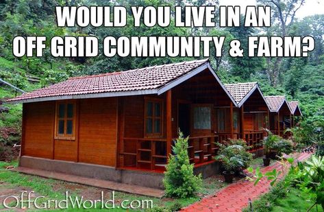 Would You Live in an Off Grid Community Off Grid Community, Community Farm, Tiny House Big Living, Off Grid Survival, Intentional Community, Homestead Farm, Off Grid Cabin, Community Living, Cabin In The Woods