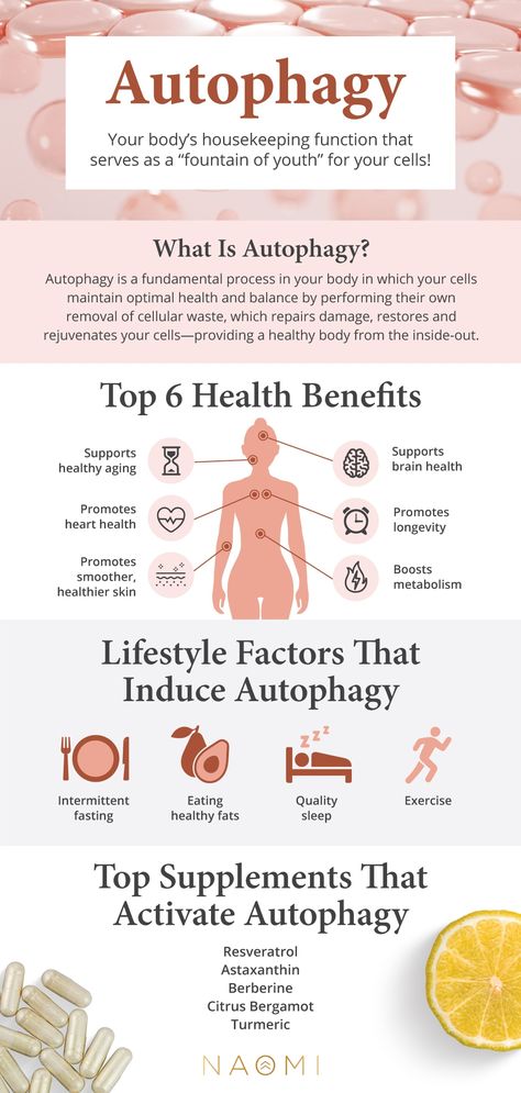 Fasting Benefits Autophagy, Autophagy Fasting Before And After, Health Benefits Of Fasting, Citrus Bergamot Supplement Benefits, Autophagy Benefits, Fasting Autophagy, Autophagy Fasting, Astaxanthin Benefits, What Is Autophagy