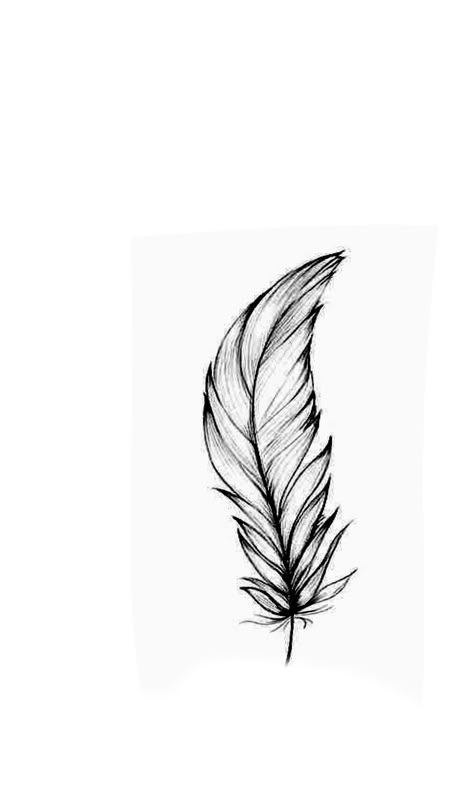 Feather Tattoo Stencil, Feather Outline, Feather Drawing, Feather Tattoo Design, Feather Tattoo, Tattoo Stencil, Feather Tattoos, Tattoo Stencils, Tattoo Inspo